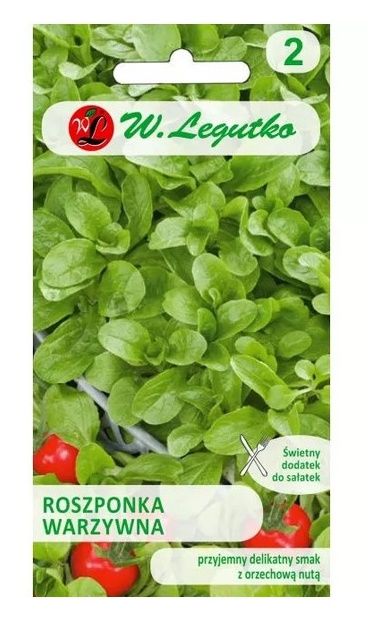 Roszponka warzywna Verte de Cambrai 2g Legutko