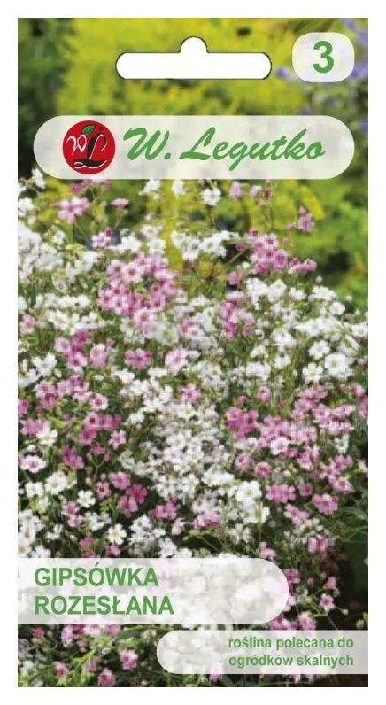 Gipsówka rozesłana mix 0,3g Legutko