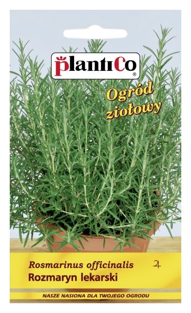 Rozmaryn lekarski 0,05g PlantiCo