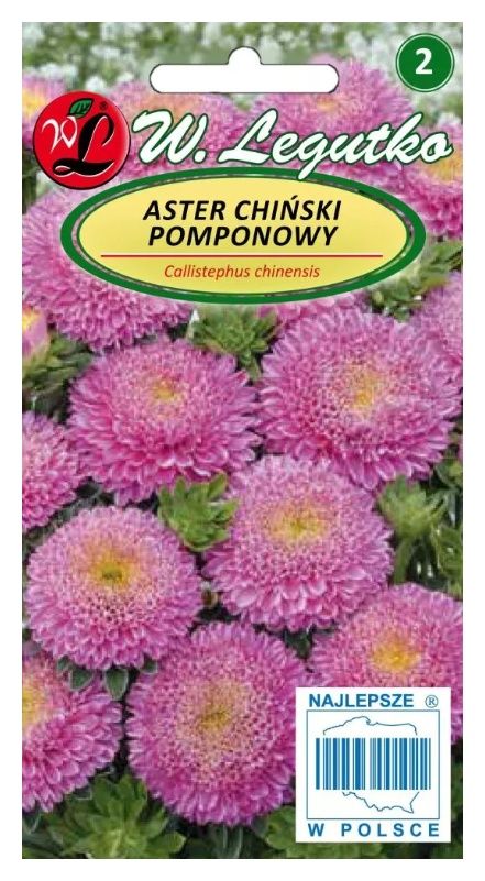 Aster chiński pomponowy różowy 1g Legutko