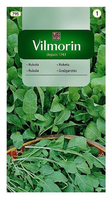 Rukola jednoroczna 3g Vilmorin