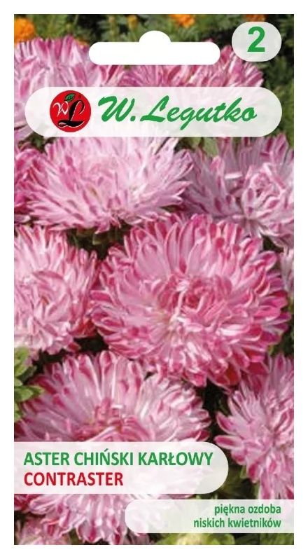Aster chiński karłowy Contraster różowo-biały 0,50g Legutko