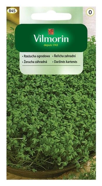 Rzeżucha Ogrodowa 10g Vilmorin