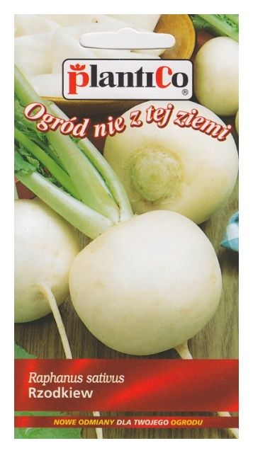 Rzodkiew RUNDER WEISSER 5g PlantiCo