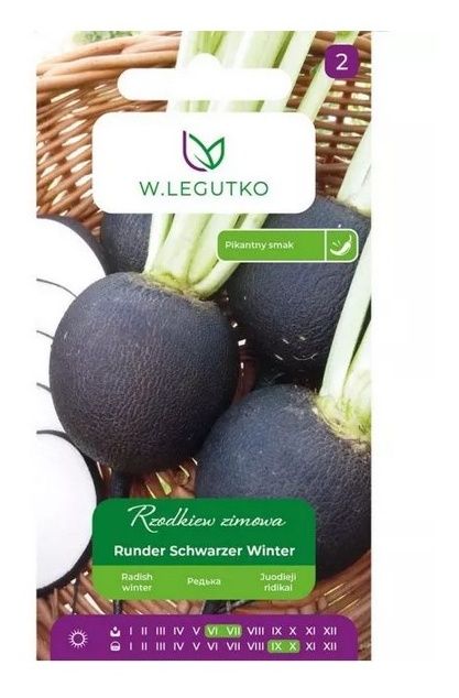 Rzodkiew zimowa Runder Schwarzer Winter 6g Legutko