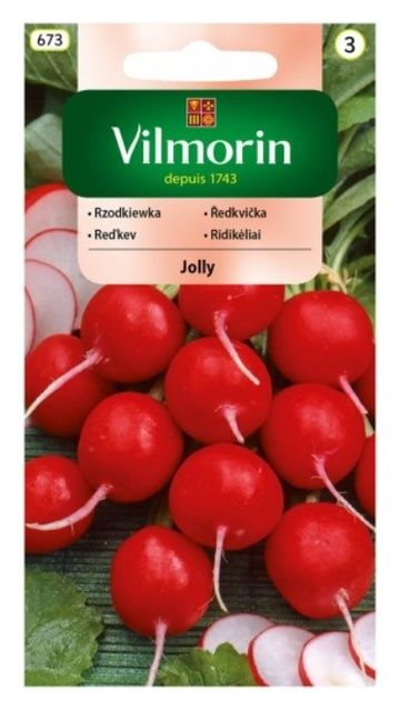 Rzodkiewka Jolly 5g Vilmorin 