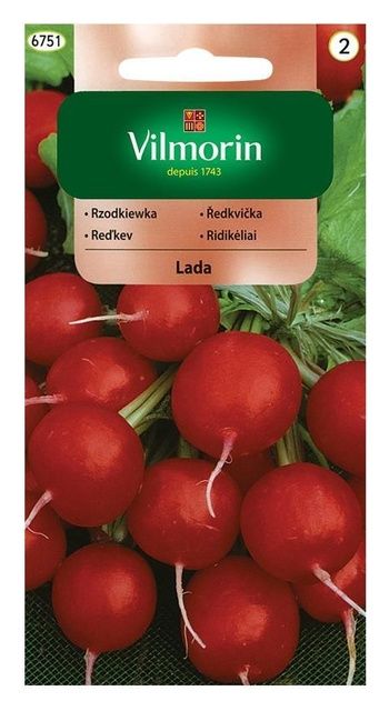 Rzodkiewka Lada 5g Vilmorin