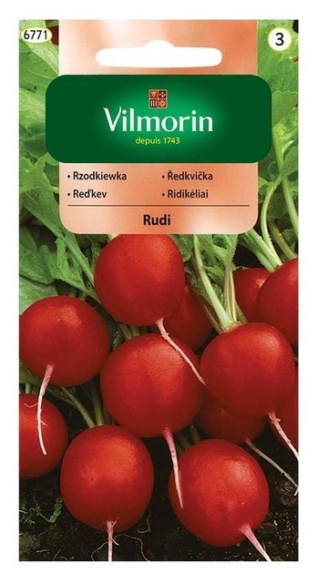 Rzodkiewka Rudi 5g Vilmorin