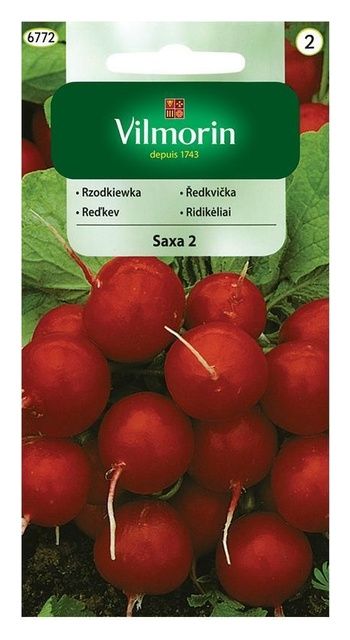 Rzodkiewka Saxa 2 10g Vilmorin