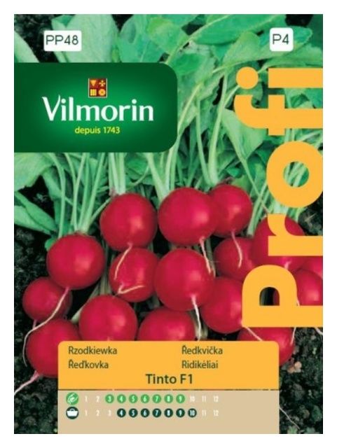 Rzodkiewka Tinto F1 5g Vilmorin 