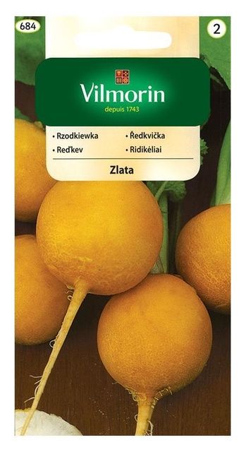 Rzodkiewka Zlata 5g Vilmorin