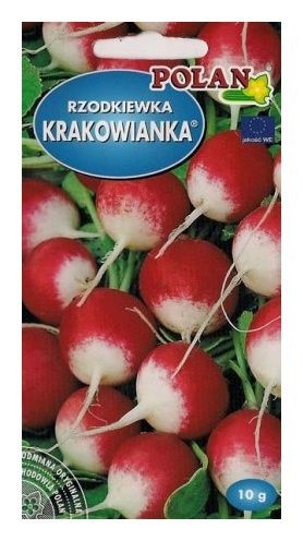 Rzodkiewka Krakowianka 
