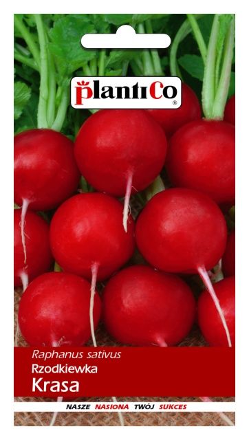 Rzodkiewka KRASA 10g PlantiCo