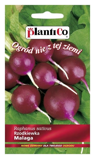 Rzodkiewka MALAGA 5g PlantiCo