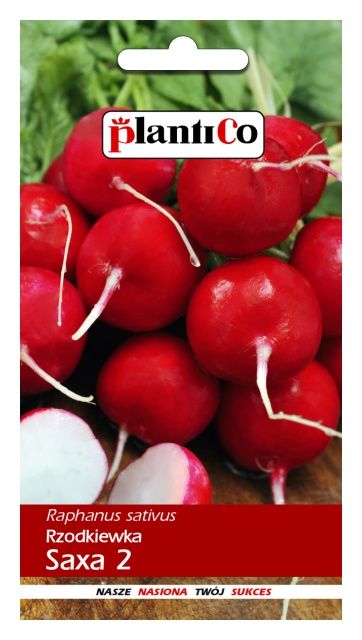 Rzodkiewka SAXA 100g PlantiCo
