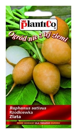 Rzodkiewka Zlata 5g PlantiCo