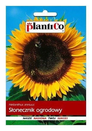 Słonecznik jadalny 20g Spójnia