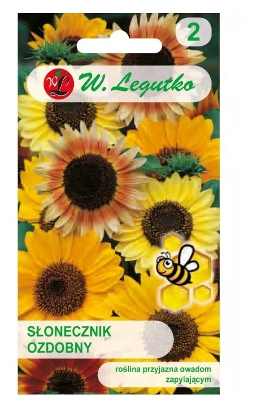 Słonecznik ozdobny wysoki pojedynczy mix 1kg Legutko