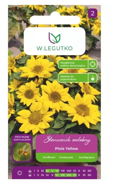 Słonecznik ozdobny Pixie Yellow 2g Legutko