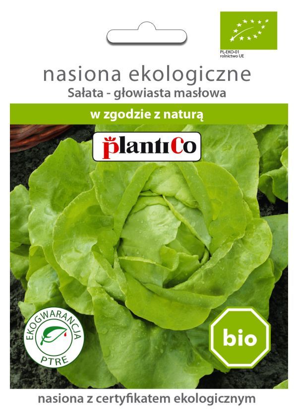 BIO Sałata głowiasta masłowa 0,5g PlantiCo