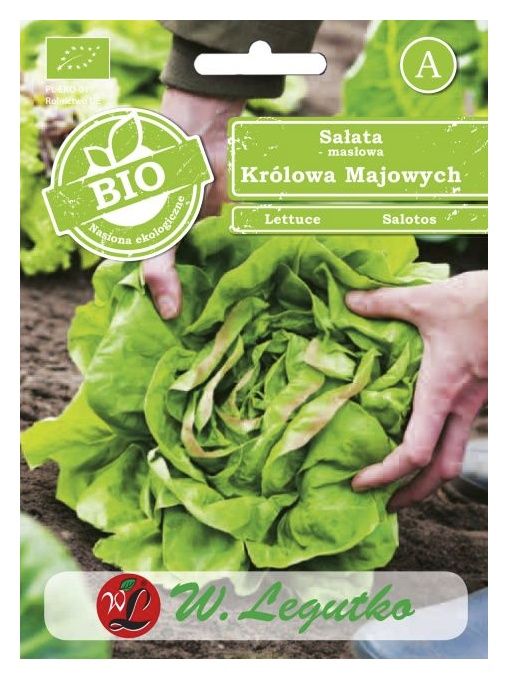 Sałata Głowiasta masłowa - May King BIO 0,5g Legutko