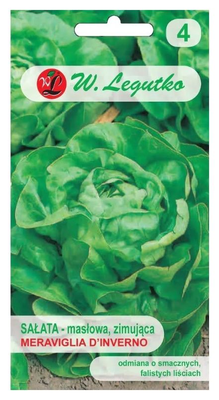Sałata głowiasta masłowa Meraviglia d'inverno 1,5g Legutko