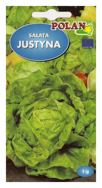Sałata Justyna 1g Polan