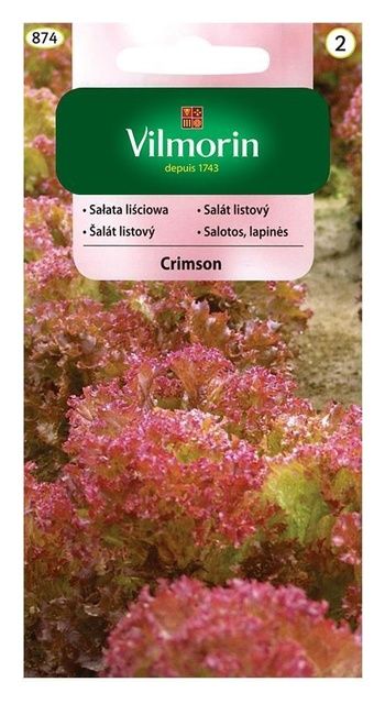Sałata czerwona Crimson 1g Vilmorin