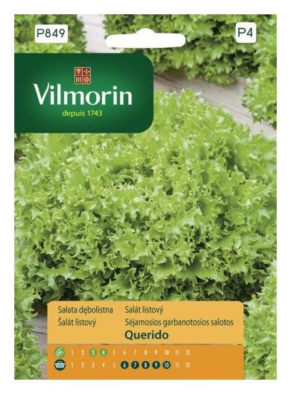 Sałata dębolistna Querido 0,5g Vilmorin