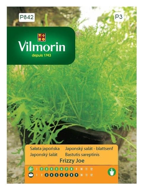 Sałata japońska Frizzy Joe 0,5g Vilmorin