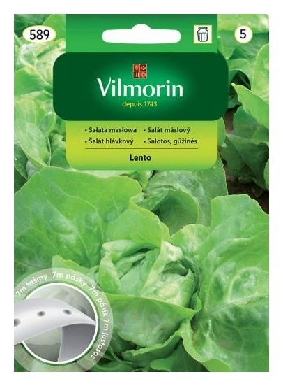 Sałata masłowa Lento na taśmie 7m Vilmorin