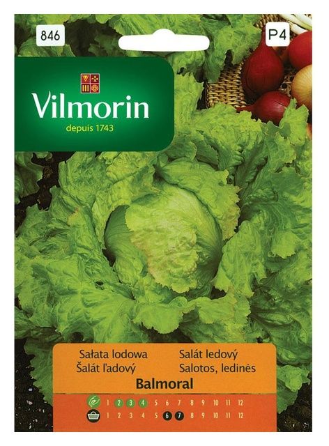 Sałata lodowa Balmoral 0,2g Vilmorin