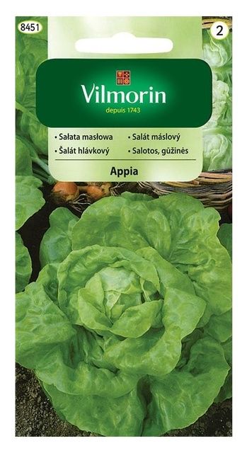 Sałata masłowa Appia 0,5g Vilmorin