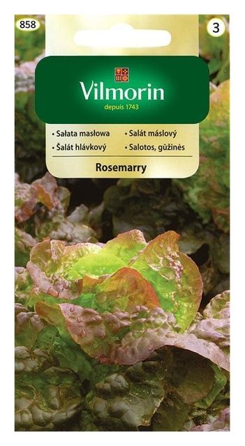 Sałata masłowa Rosemarry 1g Vilmorin