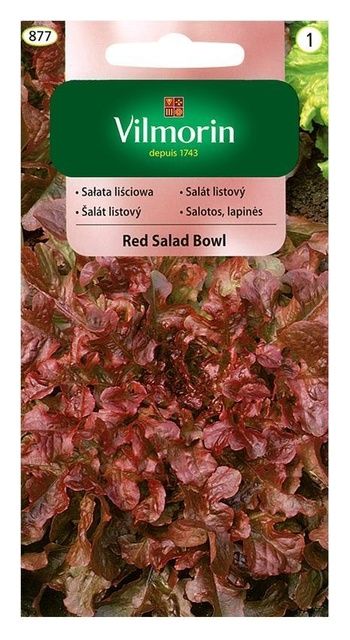 Sałata Red Salad Bowl 1g Vilmorin