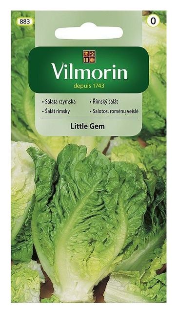 Sałata Rzymska Little Gem 0,5g Vilmorin