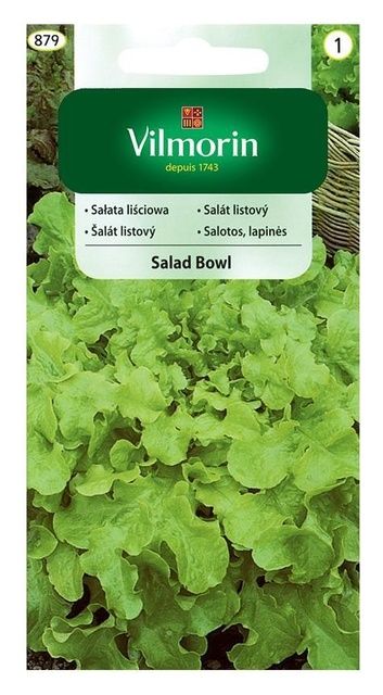 Sałata Salad Bowl 1g Vilmorin