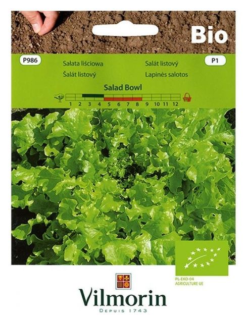 Sałata Salad Bowl Bio 0,5g Vilmorin