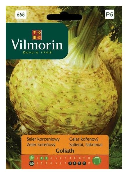 Seler korzeniowy Goliath 0,5g Vilmorin