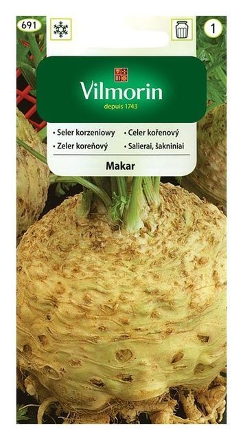 Seler korzeniowy Makar 0,5g Vilmorin