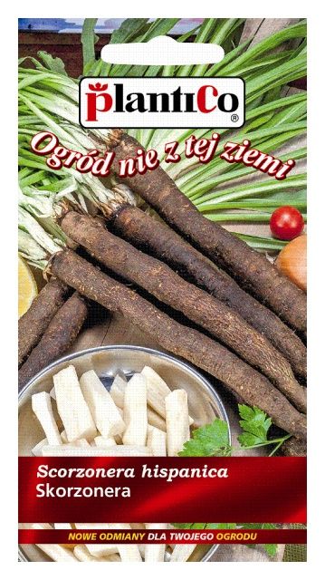 Skorzonera 2g PlantiCo