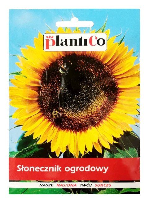 Słonecznik ogrodowy 500g PlantiCo