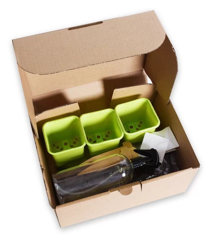 Smaczne kwiatki mix Legutko