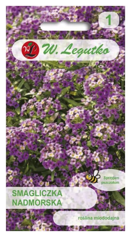 Smagliczka nadmorska liliowo-fioletowa 0,5g Legutko