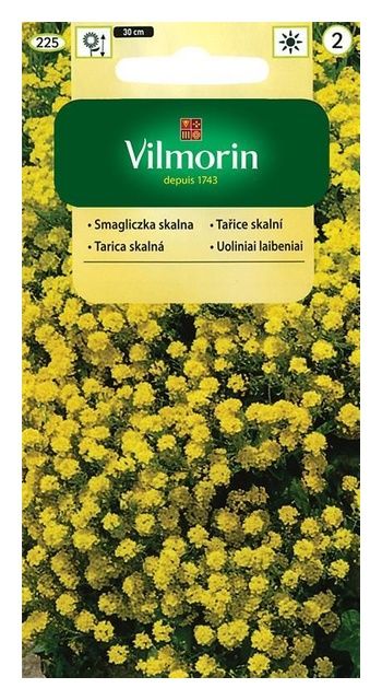 Smagliczka Skalna żółta 0,5g Vilmorin