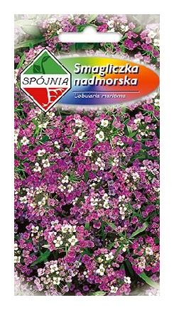 Smagliczka różowa 0.5g Spójnia