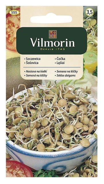 Soczewica nasiona na kiełki 20g Vilmorin