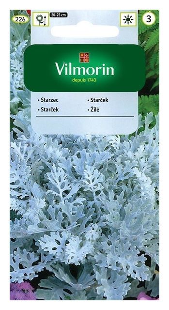 Starzec popielny 0,3g Vilmorin