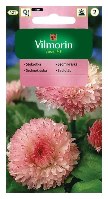 Stokrotka olbrzymia Maria 0,2g Vilmorin