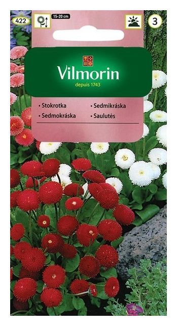 Stokrotka pomponowa 0,1g Vilmorin